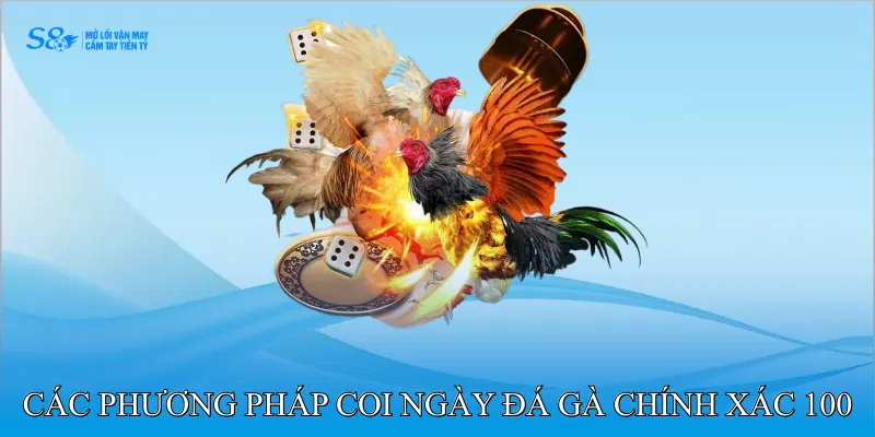 Coi Ngày Đá Gà Chính Xác 100 Xác Định Ngày Và Giờ Hoàn Hảo 3 Các Phương Pháp Coi Ngày Đá Gà Chính Xác 100