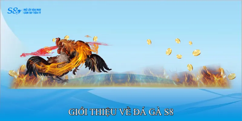 Giới thiệu về đá gà S8