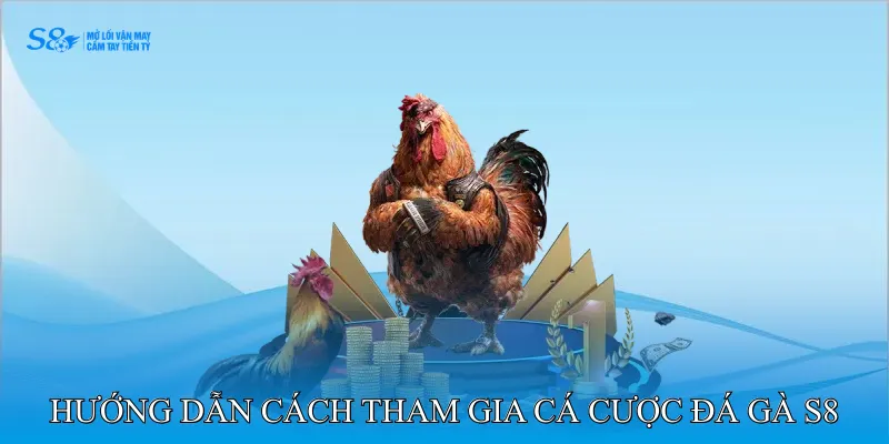 Hướng dẫn cách tham gia cá cược đá gà S8