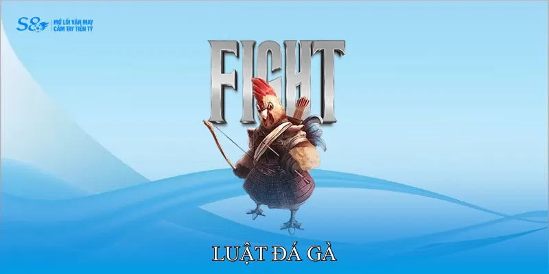 Luật Đá Gà Áp Dụng Trong Trận Đấu Truyền Thống Hiệu Quả 2 Luật đá gà